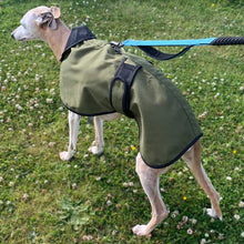 Load image into Gallery viewer, warm weather greyhound coat with harness hole
