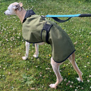 warm weather greyhound coat with harness hole