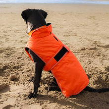 Load image into Gallery viewer, A black dog sitting on a sandy beach wearing a bright orange dog jacket with reflective trim.
