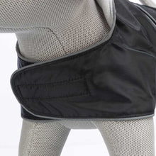 Load image into Gallery viewer, Orleans Budget-Friendly Dog Coat
