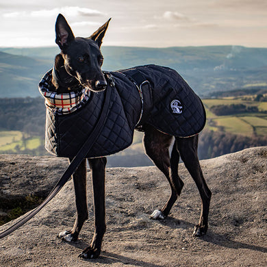 winter quilted lurcher coats