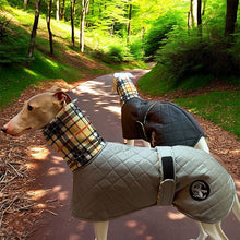 Load image into Gallery viewer, quilted waterproof sighthound coat for winter
