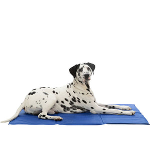 Dalmatian cooling mat