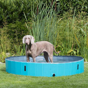 Dog Paddling pool