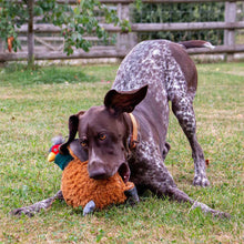 Load image into Gallery viewer, Plush Animal Toys with Squeak
