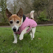 Load image into Gallery viewer, A small dog standing on grass outdoors, wearing a pink pet jacket. The background shows trees and a garden path.
