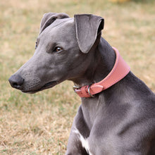 Load image into Gallery viewer, A gray dog wearing a pink leather collar, shown in profile outdoors on a grassy background.
