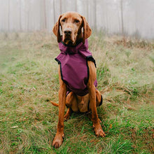 Load image into Gallery viewer, 3-in-1 Dog Coat
