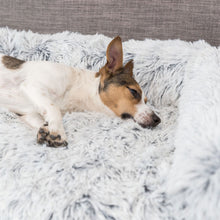 Load image into Gallery viewer, Furniture protectory dog bed with lip
