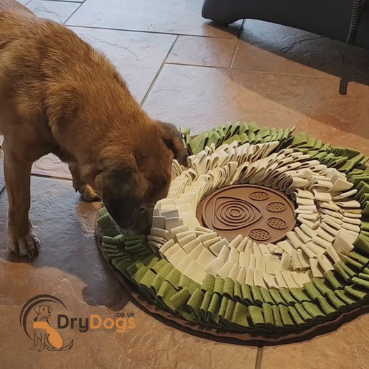 dog boredom buster round snuffle mat