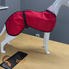 Load and play video in Gallery viewer, video demonstration of summer whippet coat
