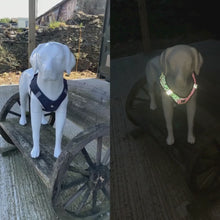 Load and play video in Gallery viewer, fully reflective dog harness day vs night
