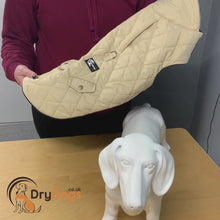 Load and play video in Gallery viewer, quilted ashbourne dachshund coat video details
