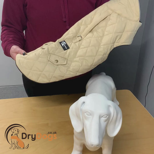 quilted ashbourne dachshund coat video details