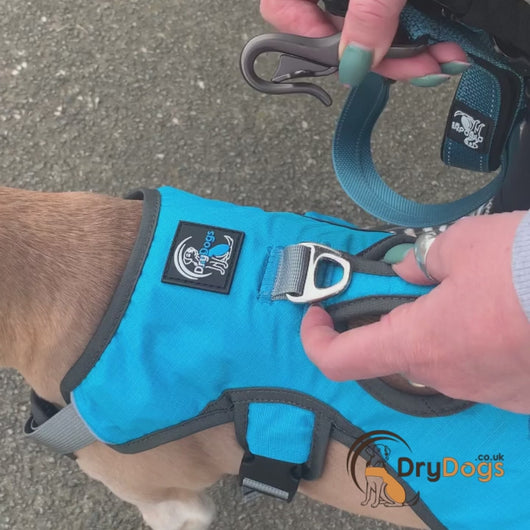 6-in-1 multifunction drydogs dog leash
