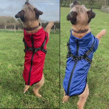 Load and play video in Gallery viewer, video - lightweight dog coat with harness hole
