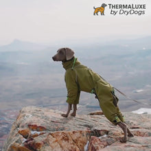 Load and play video in Gallery viewer, full lined dog coat with legs suit thermaluxe by drydogs
