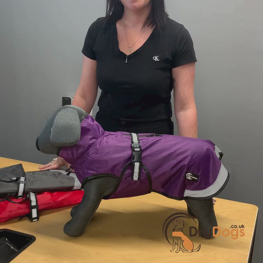DryDogs all weather 3-in-1 dog coat video demonstration