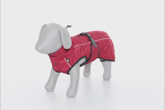 video of red winter dog coat 
