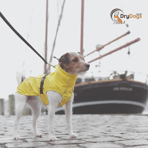 Lightweight on sale dog raincoat