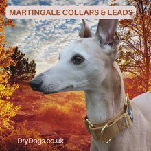 Load and play video in Gallery viewer, Martingale Collars - Soft with Brass Fittings

