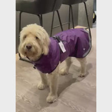 Load and play video in Gallery viewer, dog coat video all weather drydogs
