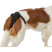 Load image into Gallery viewer, Female Dog Protective Hygiene Pants &amp; Pads
