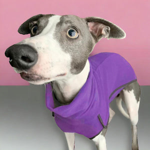 Fleece Sighthound Base-Layer Coat with Underbelly and Snood