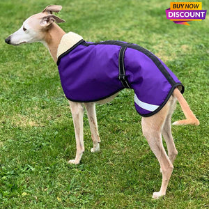 best whippet coats uk