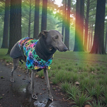 Load image into Gallery viewer, greyhound and whippet coats for winter - rainbow paw design
