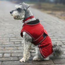 Load image into Gallery viewer, A gray scruffy dog wearing a red dog coat with black trim and a red collar, sitting on a cobblestone path outdoors.
