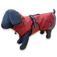 Load image into Gallery viewer, A red dog raincoat with black mesh ears and legs, shown on a black dog mannequin against a white background.
