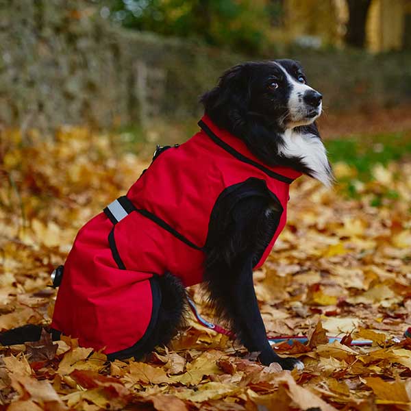 3-in-1 Dog Coat Waterproof/Breathable Harness Hole
