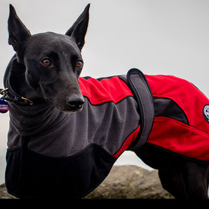 willow wearing red drydogs snoody fleece