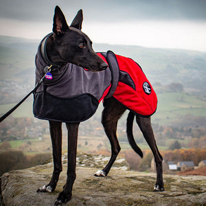 sighthound fleeces