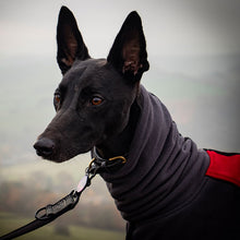 Load image into Gallery viewer, whippet fleece with snood
