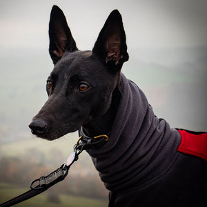 whippet fleece with snood