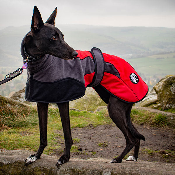 sighthound fleeces for winter