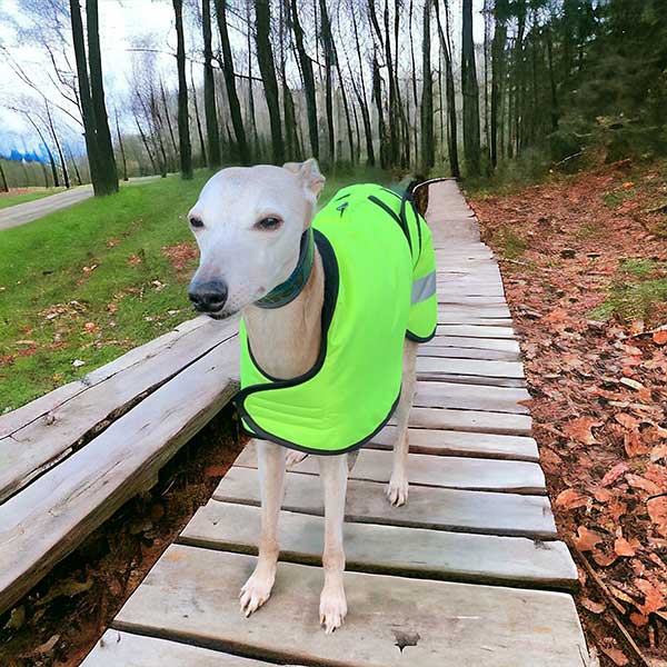 Hi viz greyhound sales coat