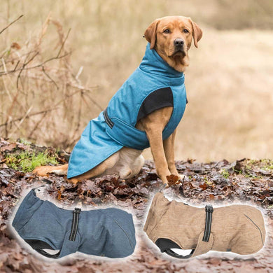 best winter dog coats with harness holes