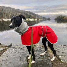 Load image into Gallery viewer, skye wearing romanico whippet coat red
