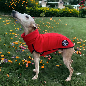 Runo - extra-thick greyhound/whippet base layer coat