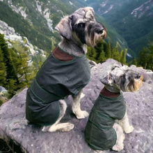 Load image into Gallery viewer, schnauzer coats

