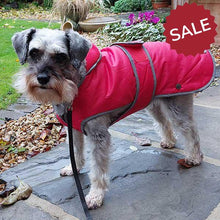 Load image into Gallery viewer, schnauzer wearing storm guard dog coat
