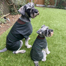 Load image into Gallery viewer, schnauzer dog coats
