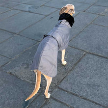Load image into Gallery viewer, ofira winter sighthound coat
