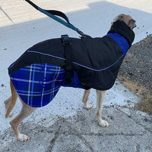 Load image into Gallery viewer, 23&#39;&#39; Blue Felton - Sighthound Coat with Underbelly and Harness Hole (3556)
