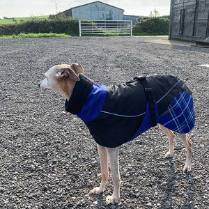 Felton - Sighthound Coat with Underbelly and Harness Hole