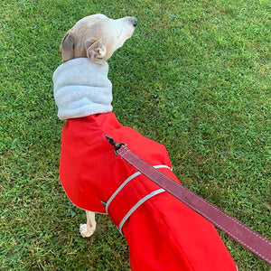 Greyhound coat with built in snood collar and harness hole