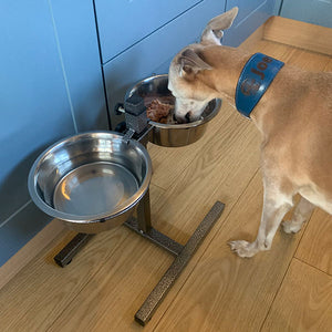 twin raised dog feeding bowls